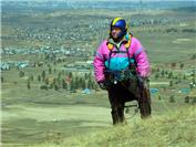 Степаныч в раздумьях